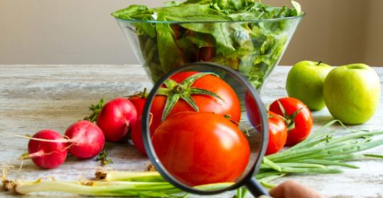 PATÓGENOS EN ALIMENTOS PATÓGENOS EN ALIMENTOS