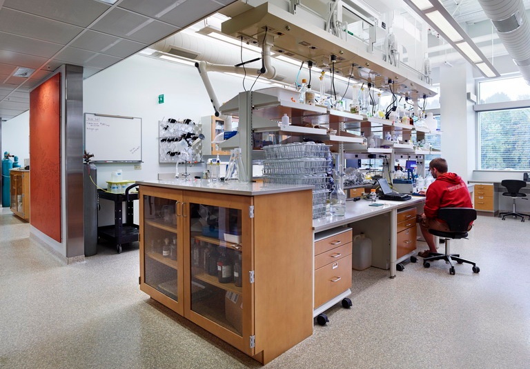 LA IMPORTANCIA DE TU LABORATORIO LA IMPORTANCIA DE TU LABORATORIO