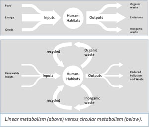 Urban-metabolism-graphic