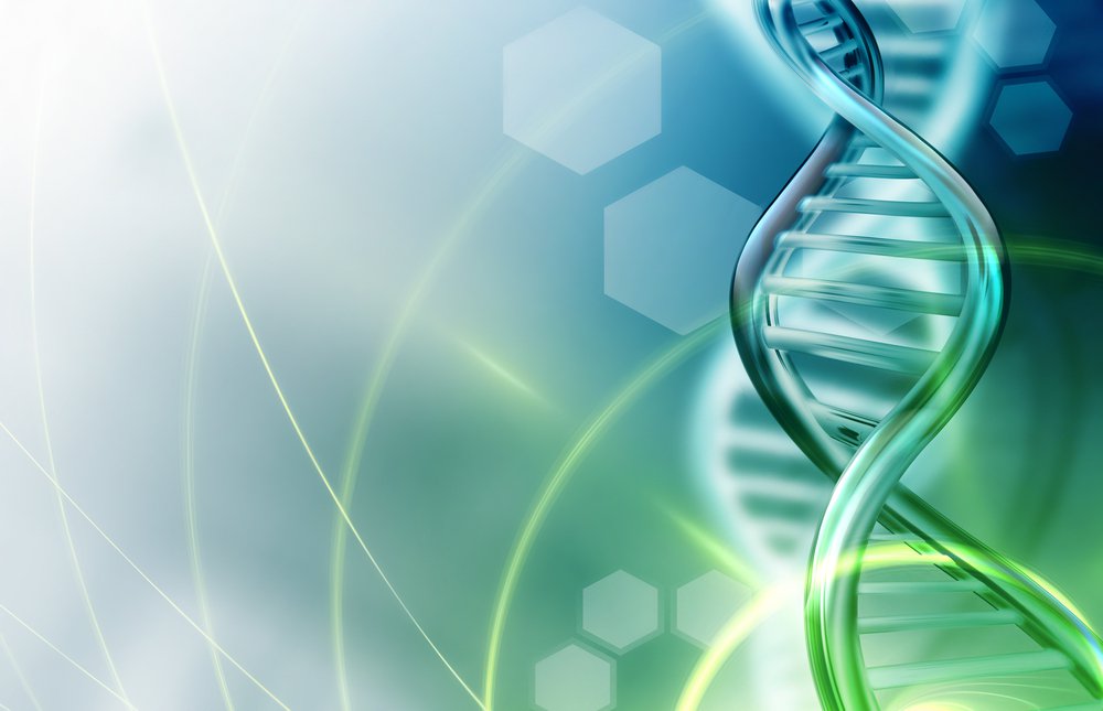CIENCIAS DE LA VIDA CIENCIAS DE LA VIDA