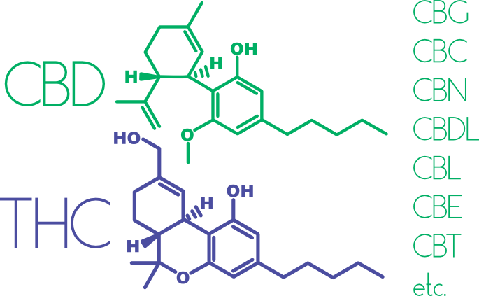 Principios Activos Del Cannabis: Lo Bueno Y Malo De La Marihuana