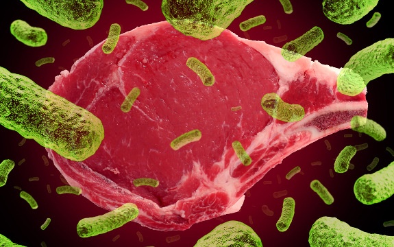 E Coli EN CARNE FRESCA E Coli EN CARNE FRESCA