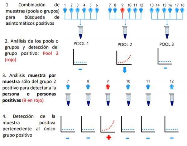 blog biosafety 2-1
